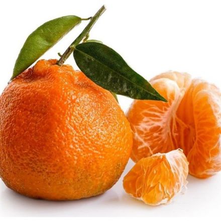 Picture of Satsuma  Mandalin