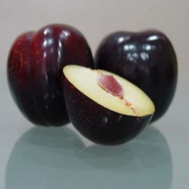 Picture of Angeleno Erik