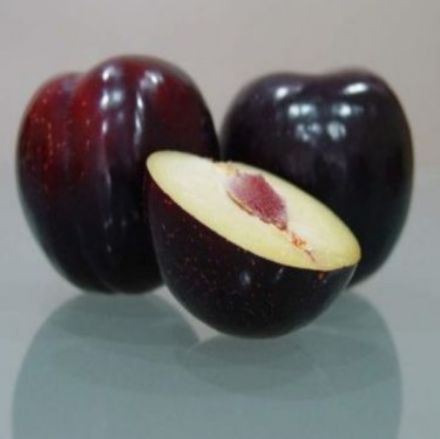 Picture of Angeleno Erik