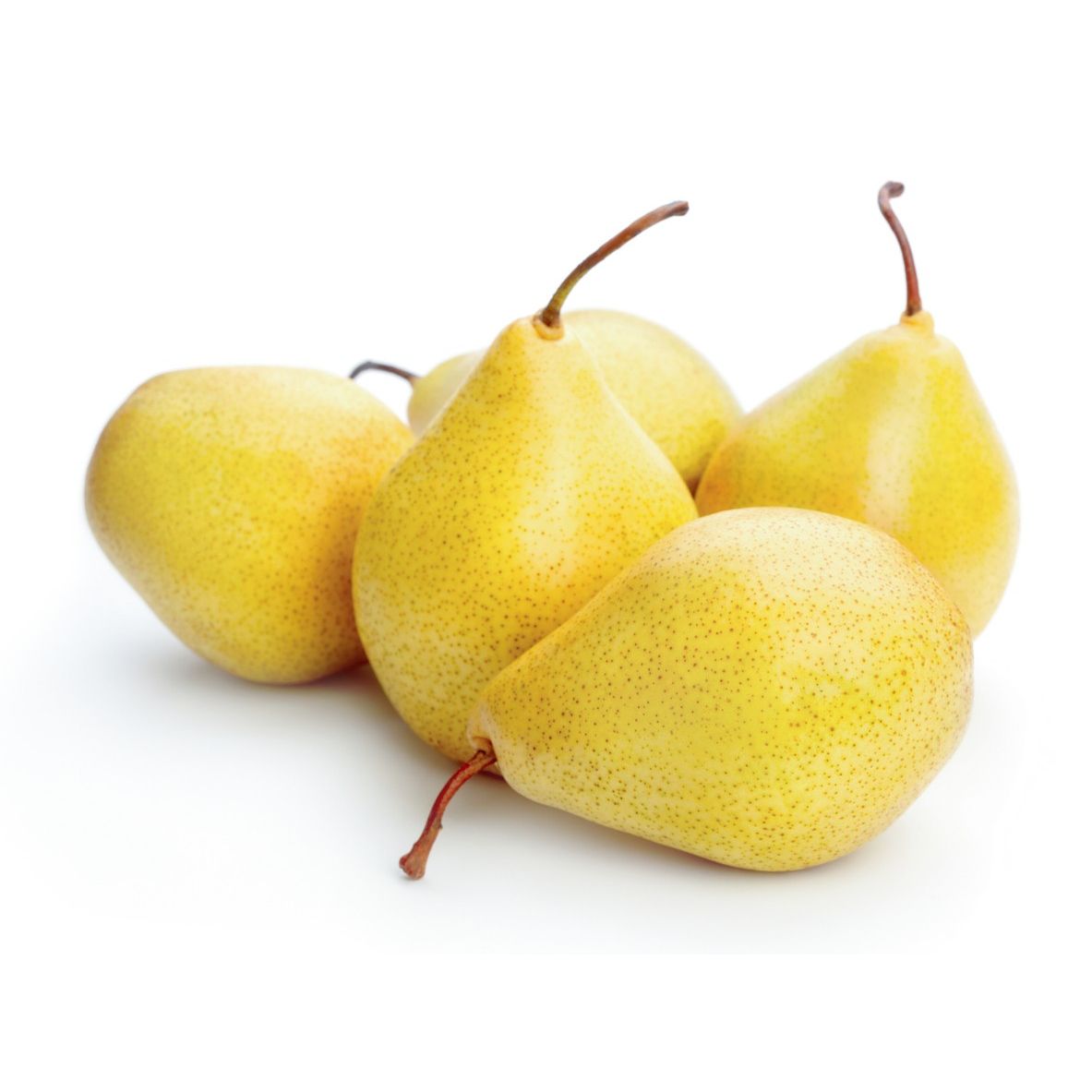 Picture of Akça Armut