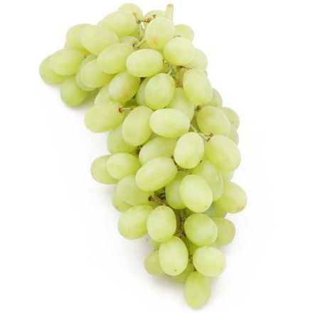 Picture of Thomson Seedless Uzum